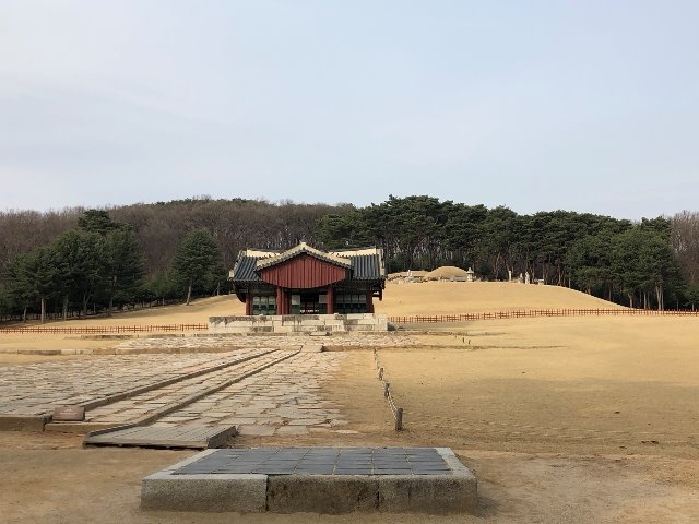 KakaoTalk_Moim_753EdGg6FsglWjA9Vsvx2yB8GVbHSa.jpg
